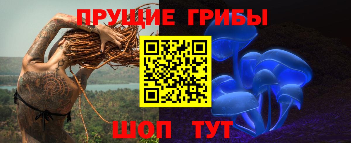 Галлюциногенные грибы Cubensis Красный Сулин