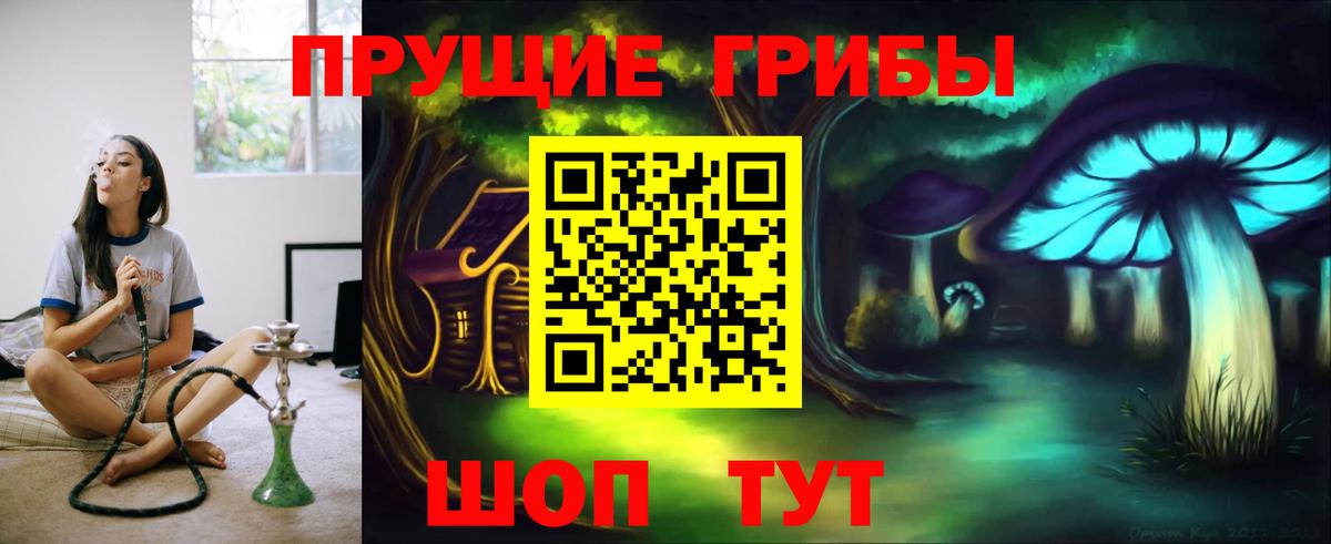 Красный Сулин  Псилоцибиновые грибы Psilocybine cubensis  Вход с VPN  Галлюциногенные грибы GOLDEN TEACHER 